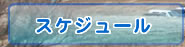 スケジュール
